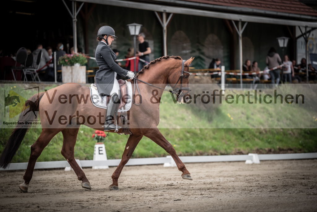 DSC_2562 | equestrian-live-com