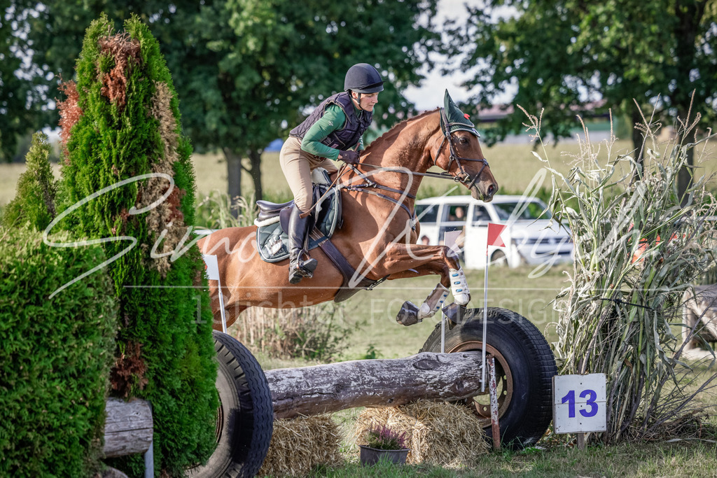 20250906-_3LI7706 | Tierfotografie Pferde, Hunde, Katzen, Haustiere.
Turnierfotografie Reitturniere, Reiten, Springreiten, Dressur in Hanau, dem Main-Kinzig-Kreis und dem Rhein-Main- Gebiet um Frankfurt