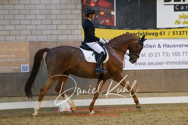IMG_2991 | Turnierfotos kaufen im Webshop von Daniel Kuhl Photography – entdecke professionelle Reitsportfotos aus Turnieren & Events. Hochwertige Turnierbilder online bestellen & sichern. Jetzt Fotos von Reitsportturnieren kaufen!