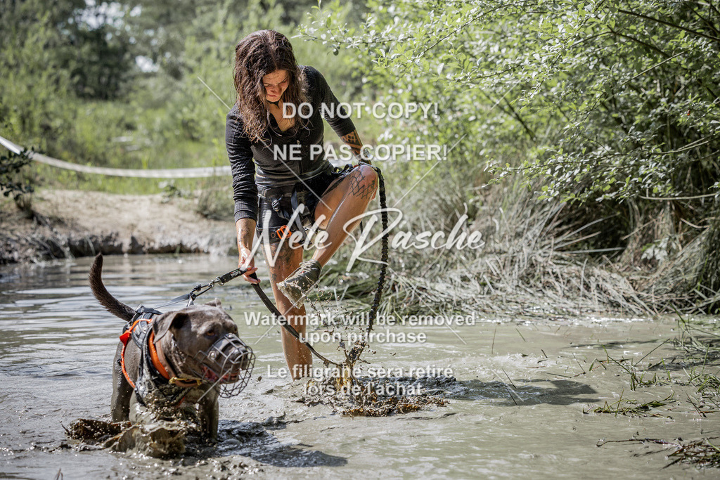 nelerasche_so1030-1100_334 | nelerasche
