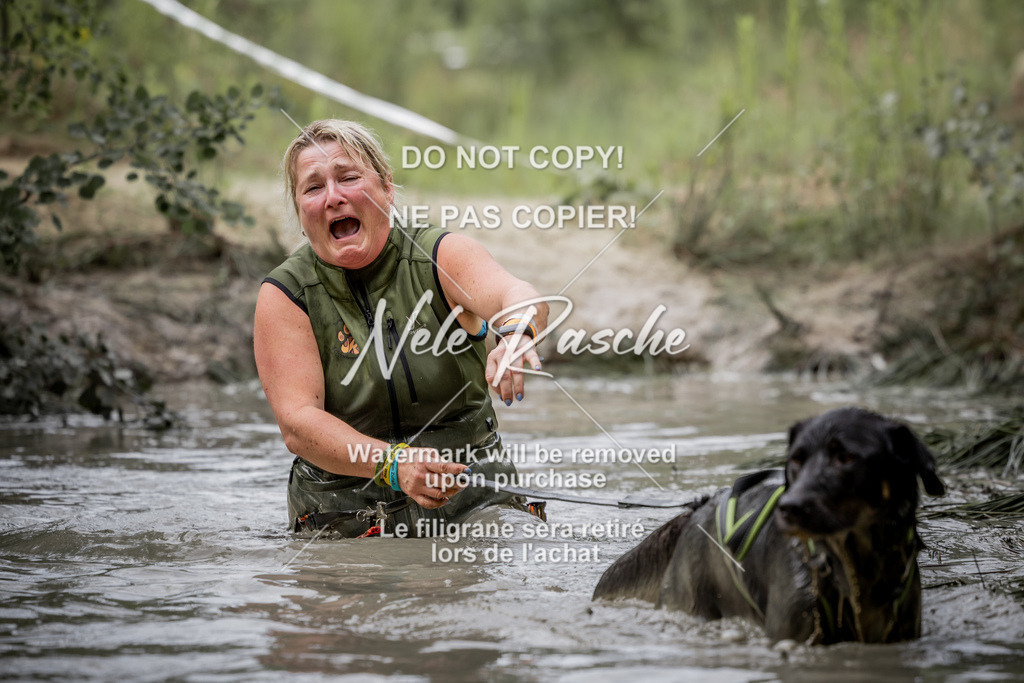 nelerasche_so0800-0930_261 | nelerasche