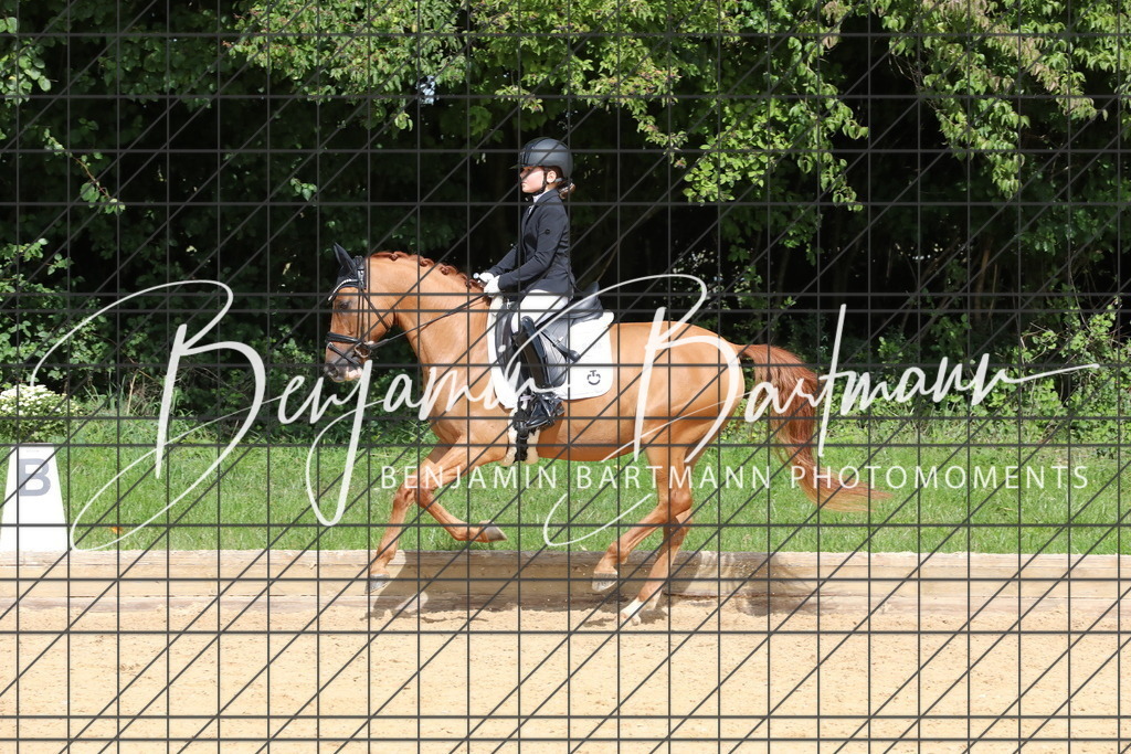 AZ2A2375 | Benjamin Bartmann Photomoments