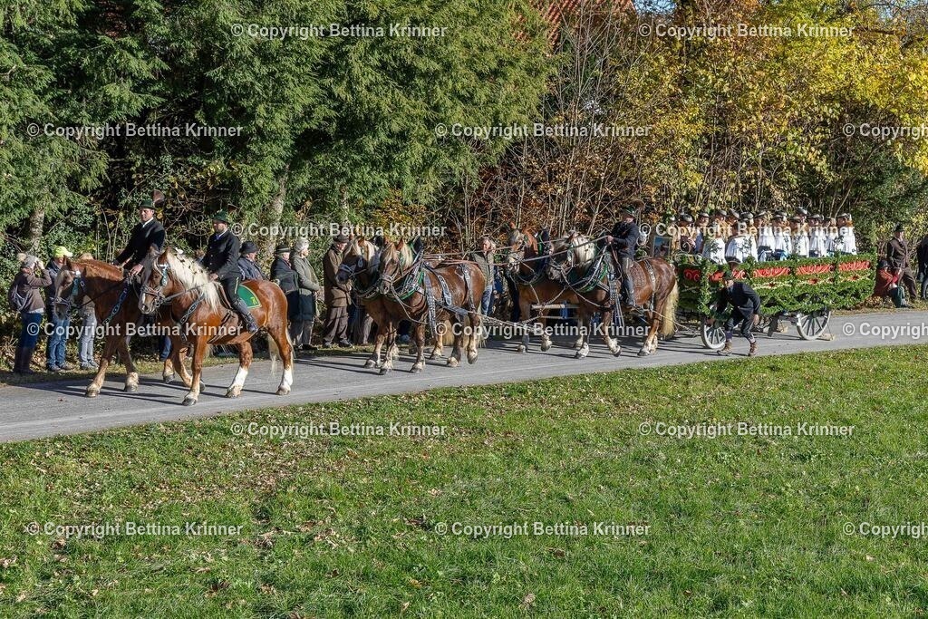 LBT25-232 | foto-bettina-krinner - Realisiert mit Pictrs.com