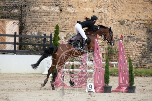 2B4A1492 | pixelfaenger - Realisiert mit Pictrs.com