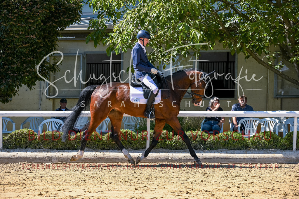 Schugtsche-Aluta25-50.Dressurpferdeprf.L-37 | Schugtsche Fotografie - Realisiert mit Pictrs.com