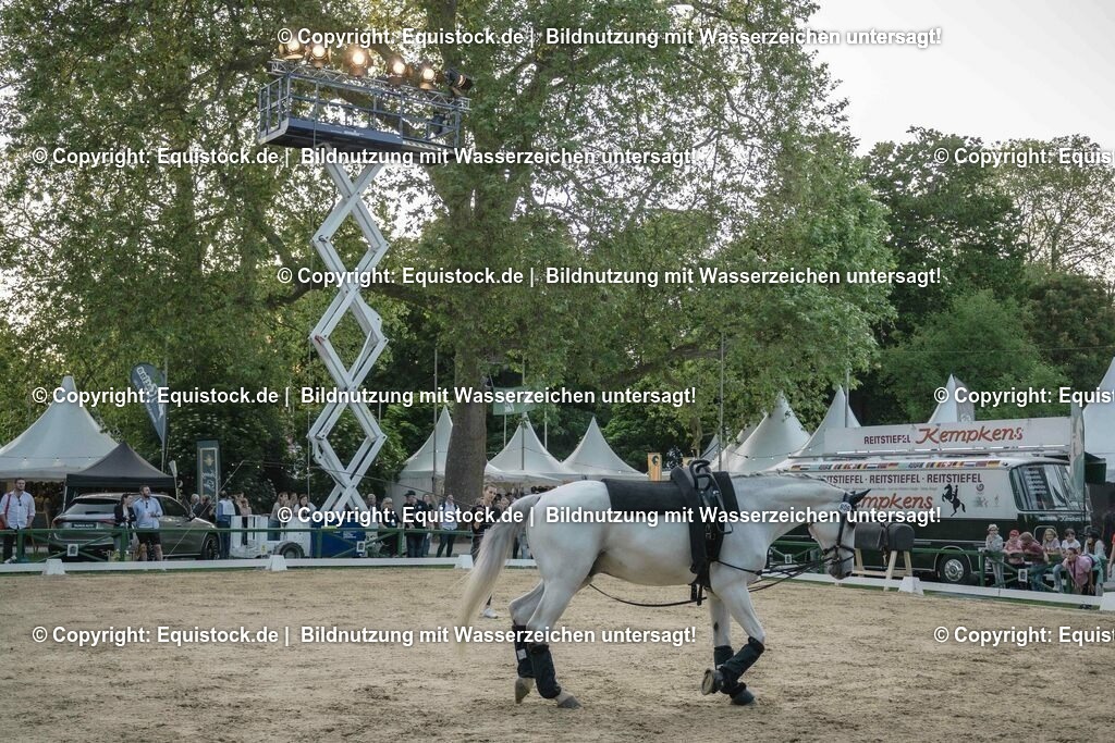 ZFC_4160 | equistock