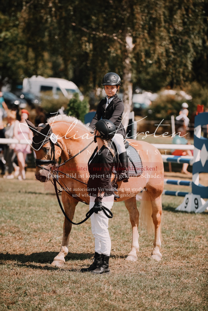 DSC_6083 | Pferde- und Turnierfotografie in Westsachsen. Pferdeportraits, Auftragszeichnungen und intuitive Kunst.