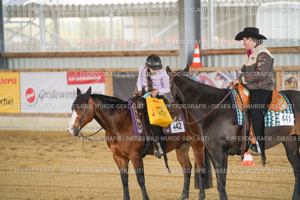 DSC00002 | Pferdegrafie