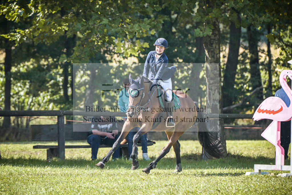 DOS_0790 | Entdecke hochwertige Reitturnierfotos von Foto Oger. Professionell, emotional und authentisch – jetzt Lieblingsmomente im Shop bestellen.Deutschlandweite Turnierfotografie. - Realisiert mit Pictrs.com