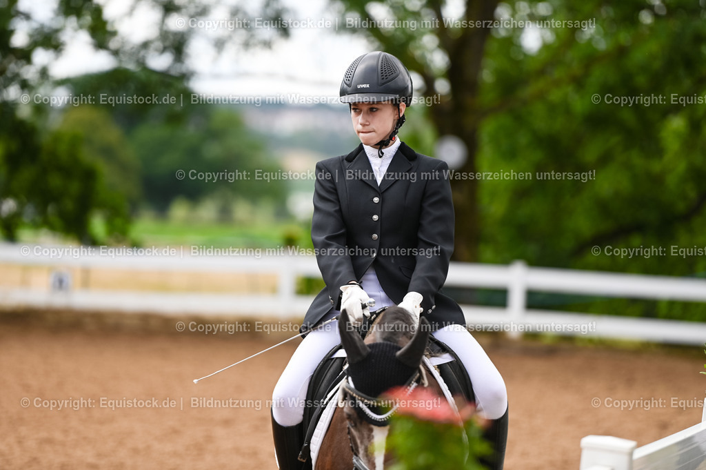 20230716_10-2_Reiter-WB Schritt - Trab - Galopp_0059 | equistock