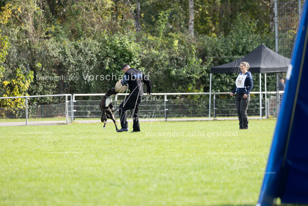 _16A5435 | Einzigartige Fotos von Hunden & Menschen –Actionfotos, Portraits, Vereinsaufnahmen & Paarshootings – authentisch, lebendig & mit Herz.