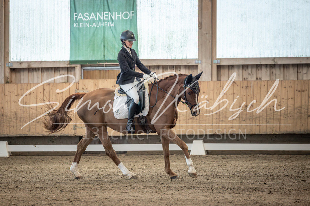 20251011-_3LI5875 | Tierfotografie Pferde, Hunde, Katzen, Haustiere.
Turnierfotografie Reitturniere, Reiten, Springreiten, Dressur in Hanau, dem Main-Kinzig-Kreis und dem Rhein-Main- Gebiet um Frankfurt