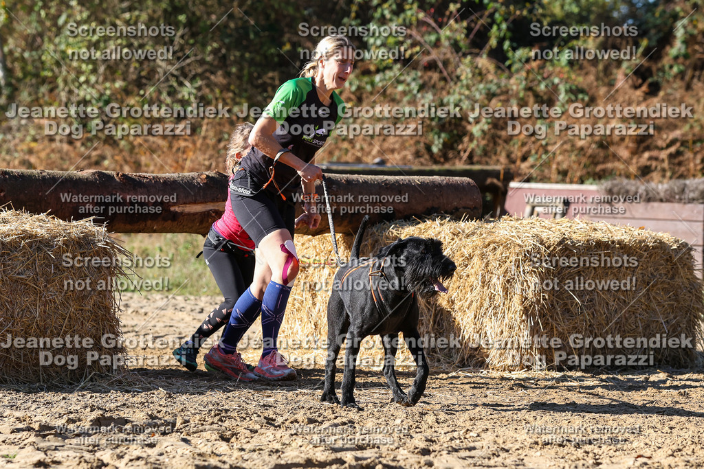 Dog Paparazzi - Strongdog 10-25-2744 | Dog Paparazzi Jeanette Grottendiek Fotografie & Videografie - Realisiert mit Pictrs.com