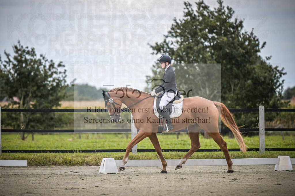 DOS_0114 | Entdecke hochwertige Reitturnierfotos von Foto Oger. Professionell, emotional und authentisch – jetzt Lieblingsmomente im Shop bestellen.Deutschlandweite Turnierfotografie. - Realisiert mit Pictrs.com