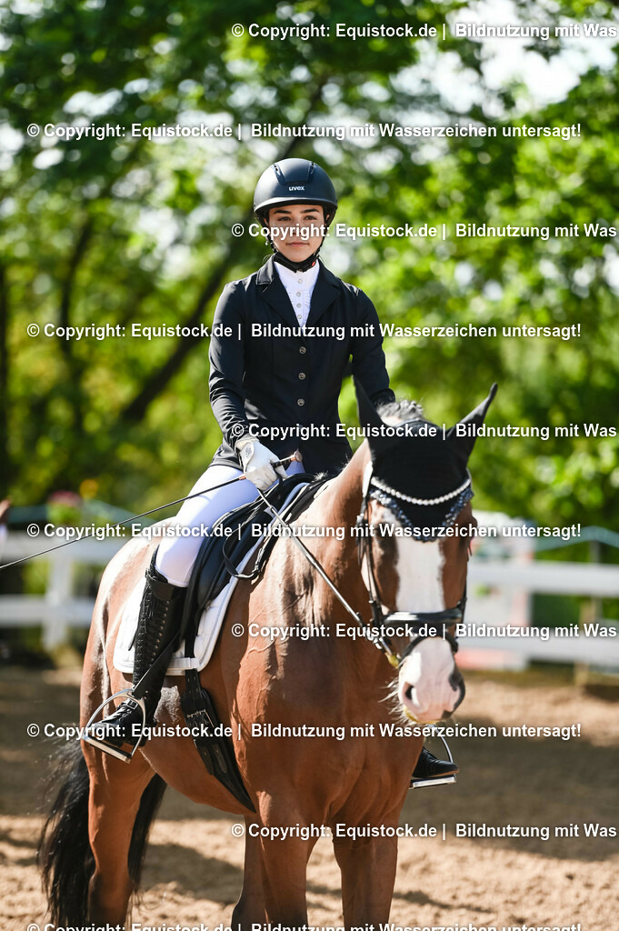 20230716_04_Dressurreiterprüfung Kl.A_0143 | equistock