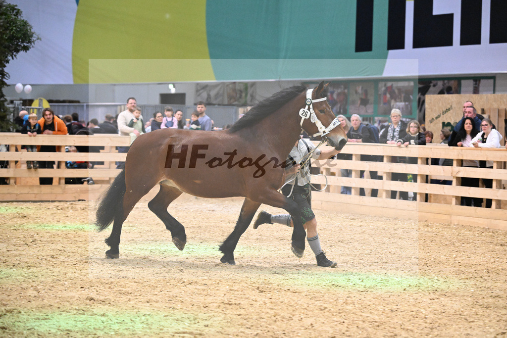 Kat-Nr. 26 Finerl v. Rissbach_Rasshofer_1260383 | hf-fotografie - Realisiert mit Pictrs.com