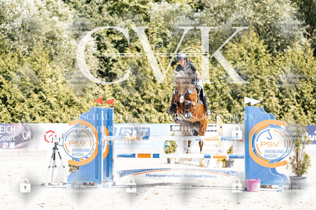 CK900319 | Turnierfotografie Pferdefotografie Trier Rheinland-Pfalz Pferdesport Reitsport Tierfotografie Sportfotografie Pferdevideo Pferdevideografie Equestrianvideography equestrianphotography  - Realisiert mit Pictrs.com