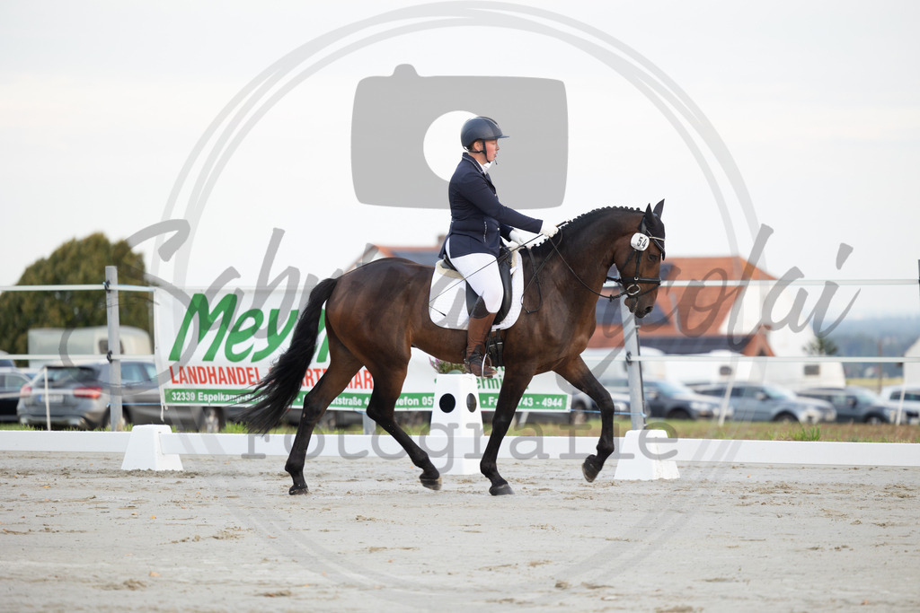 994A9824 | sabrinanicolaifotografie - Realisiert mit Pictrs.com