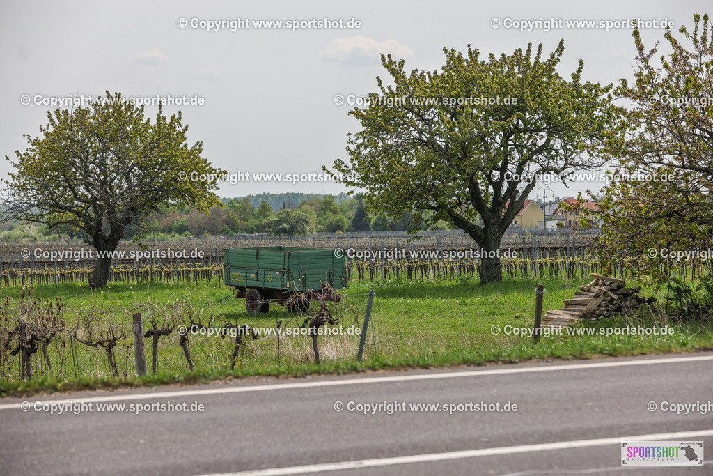 007A2949 | Neusiedlersee Radmarathon #neusiedlerseeradmarathon #neusiedlersee #nrm26 #yourpictrs #sportshot_your_pictrs