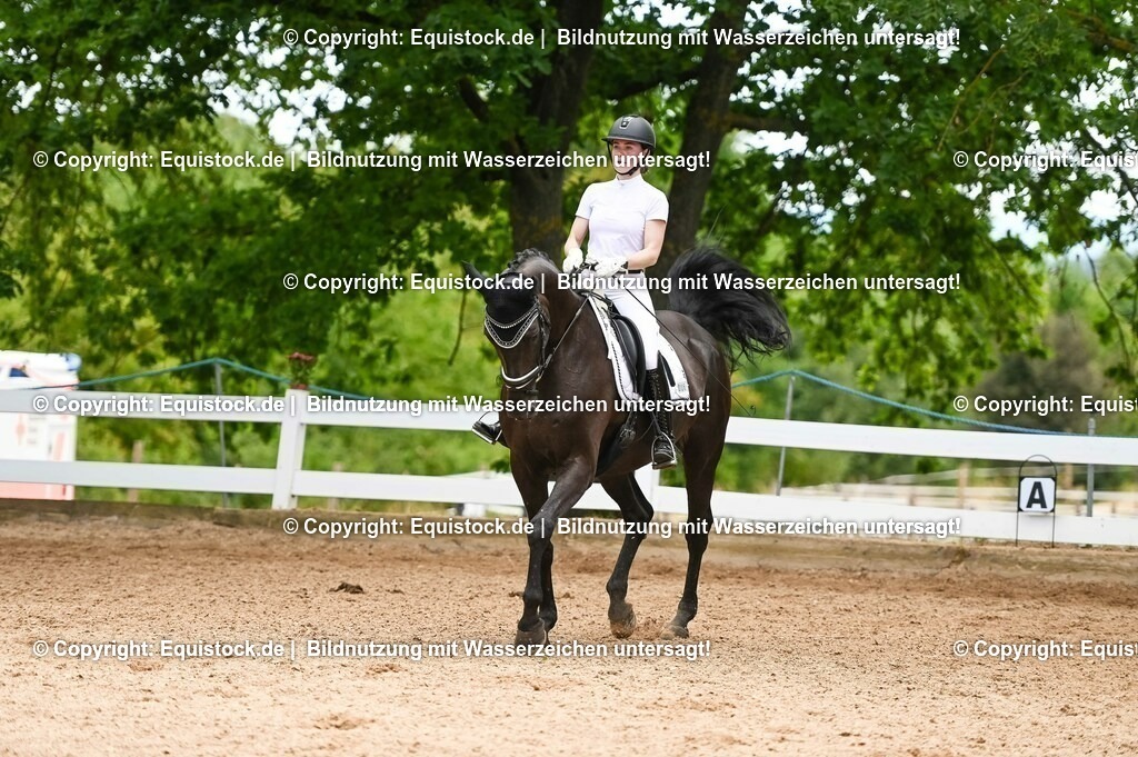 20230715_05_Dressurprüfung Kl.A++_0299 | equistock