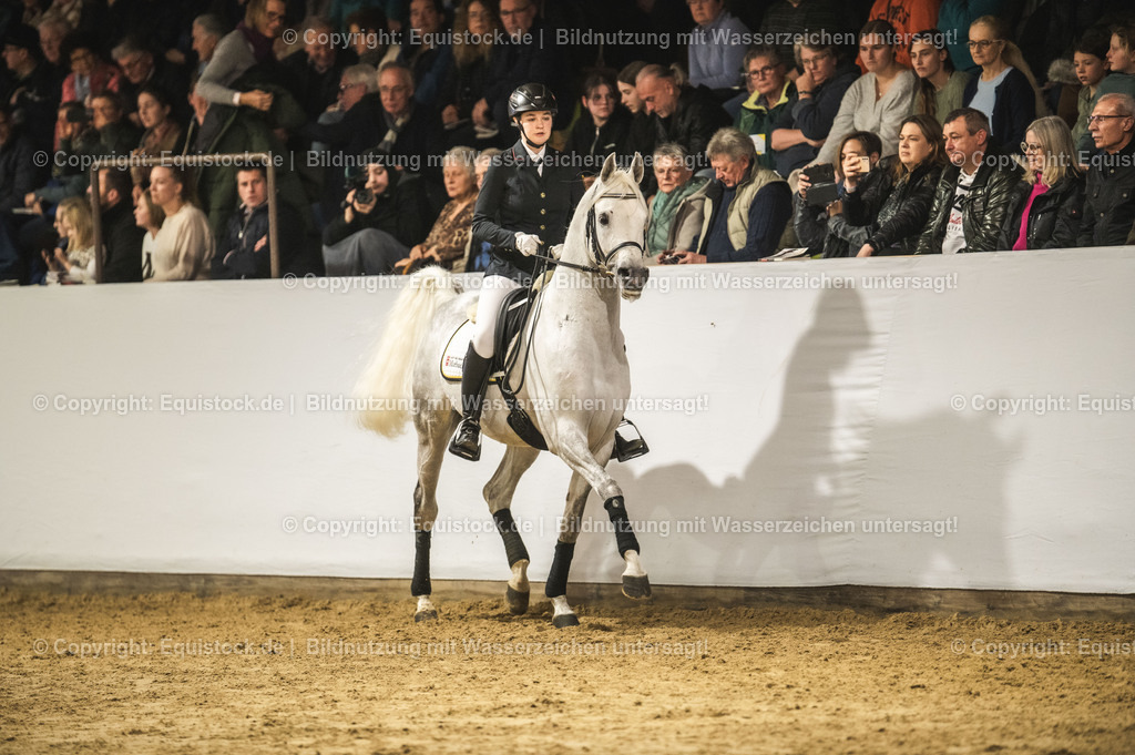 20240302_Hengstvorstellung_Marbach_TOMsPiC_0989 | equistock