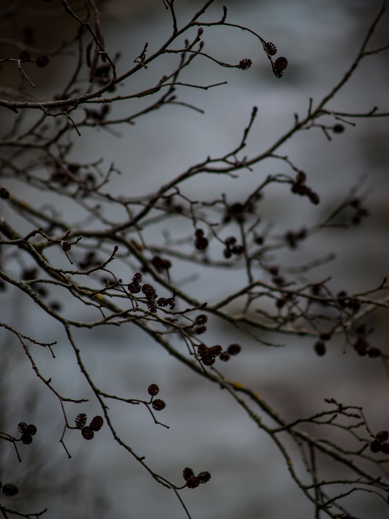 PSX_20230112_214452 | OLYMPUS DIGITAL CAMERA - Realisiert mit Pictrs.com