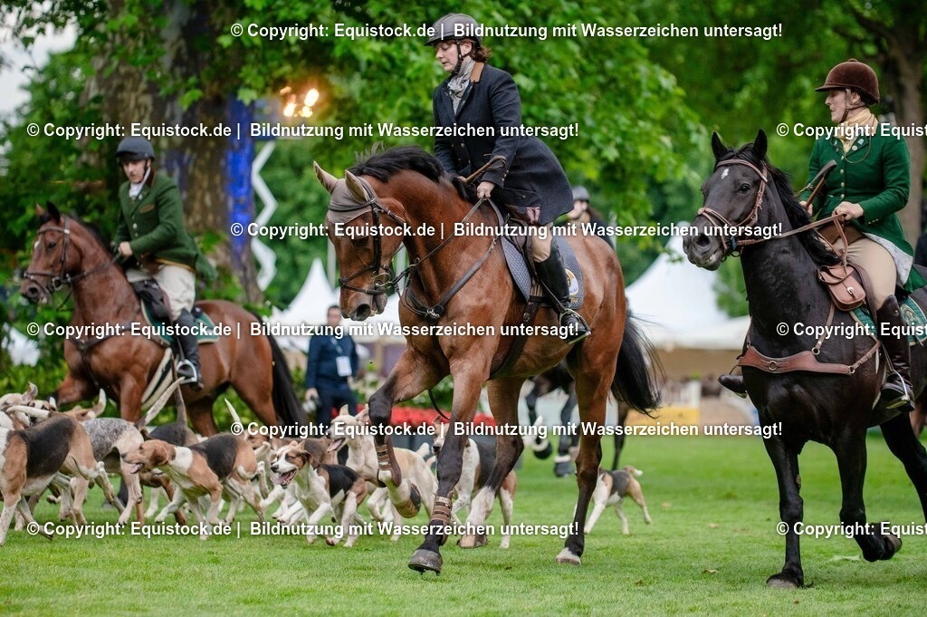 20250606_Lange-Pferdenacht_0504 | Foto: Thomas Hartig