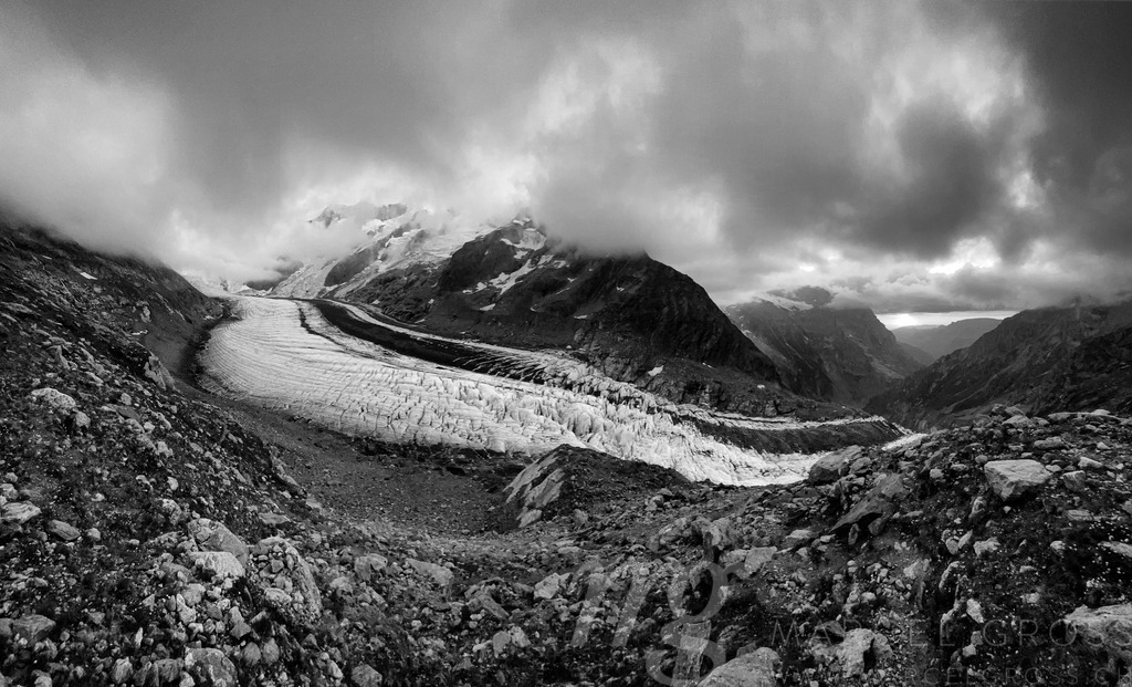 IMG_4488 | Die ideale Geschenkidee für Naturliebhaber. Naturbilder von Marcel Gross Photography für ihr Zuhause in den verschiedensten Formaten und Materialien. - Realisiert mit Pictrs.com