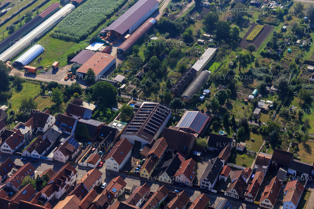 Luftbild: Landwirtschaftliche Hallen am Ettenbaum in Kandel im Bundesland Rheinland-Pfalz in Deutschland. Foto: IMG_094921.jpg vom 24.09.2016 durch Werner Riehm/FLY-FOTO.de