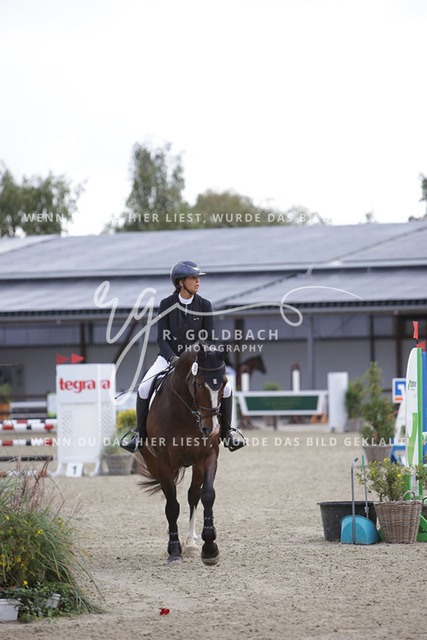 1J2A0287Louiza Tiedje_ Mr. Harms_ Kn755_ Havekost | Foto- und Videografie für alles rund ums Pferd. Hochwertige Bilder und Videos vom Spring- und Dressurreiten, Voltigieren & mehr. Jetzt aktuelle Veranstaltungen und Preise im Shop ansehen. - Realisiert mit Pictrs.com