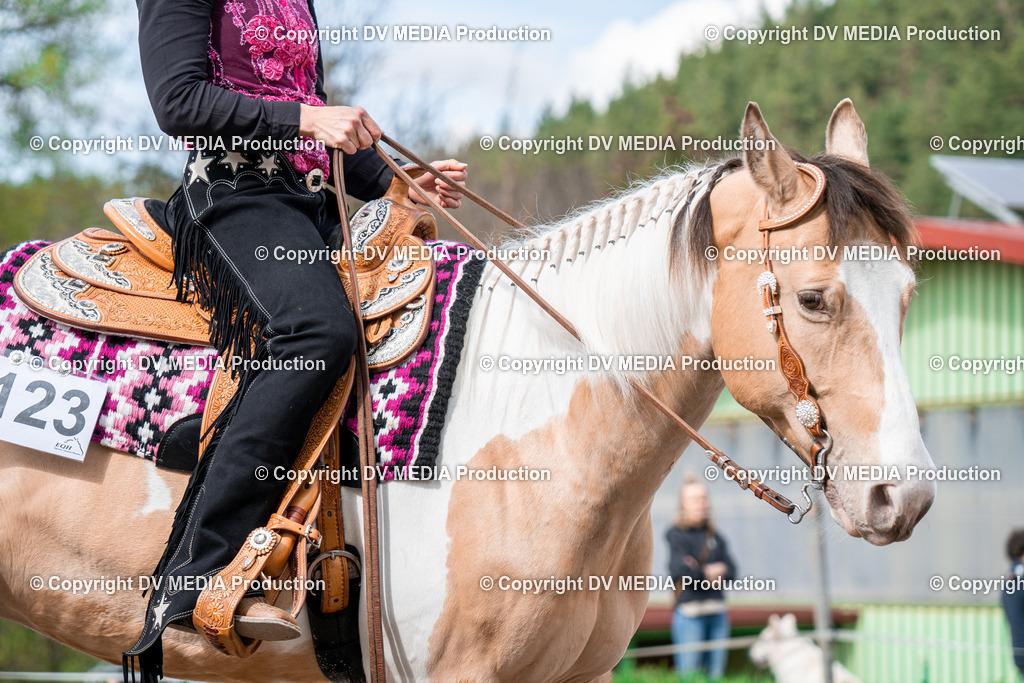 BAL02636 | dv-media-shop - Realisiert mit Pictrs.com