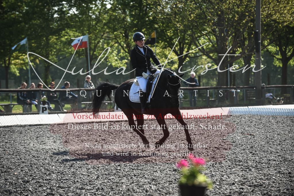 DSC_8817 | Pferde- und Turnierfotografie in Westsachsen. Pferdeportraits, Auftragszeichnungen und intuitive Kunst.
