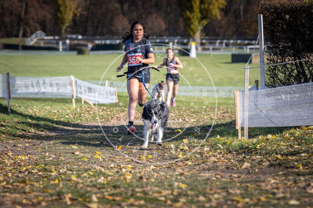 CaniXpix_DV3A8592 | Hundefotografie, Tierfotograf, Pfotenfotografie, Fotoshooting Hund, Hunde Portrait, Hundesport, Hundeportraits, Heideshooting, Hunde, Sportfotograf, Hundefotograf, Turnierhundsport, THS,  - Realisiert mit Pictrs.com