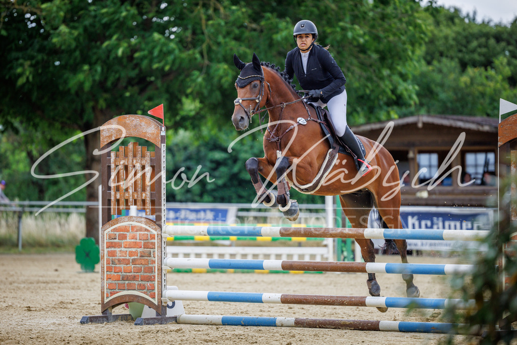 20260705-_3LI5213 | Tierfotografie Pferde, Hunde, Katzen, Haustiere.
Turnierfotografie Reitturniere, Reiten, Springreiten, Dressur in Hanau, dem Main-Kinzig-Kreis und dem Rhein-Main- Gebiet um Frankfurt