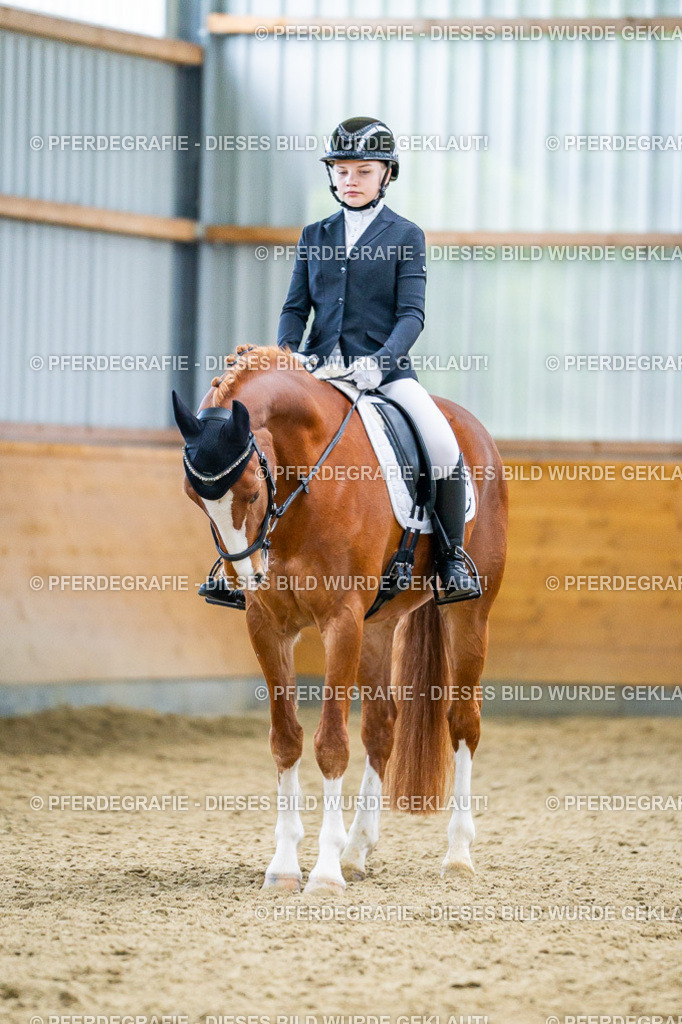 DSC04792 | Pferdegrafie