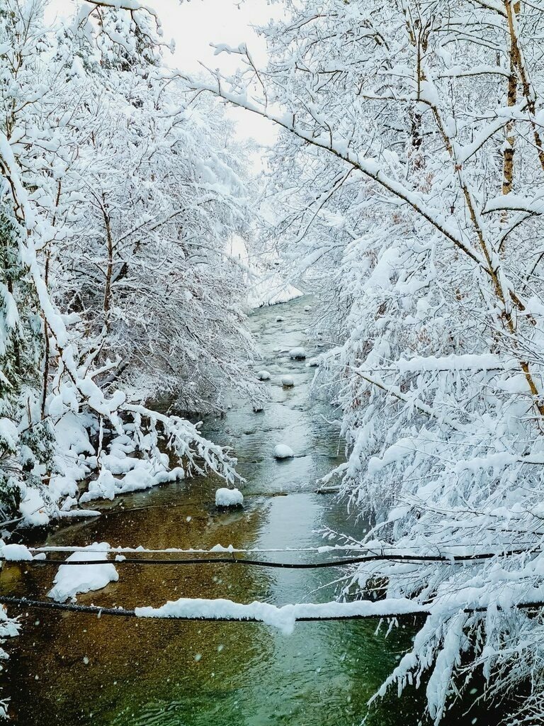 PSX_20211209_171205 | mtkfoto_ - Realisiert mit Pictrs.com