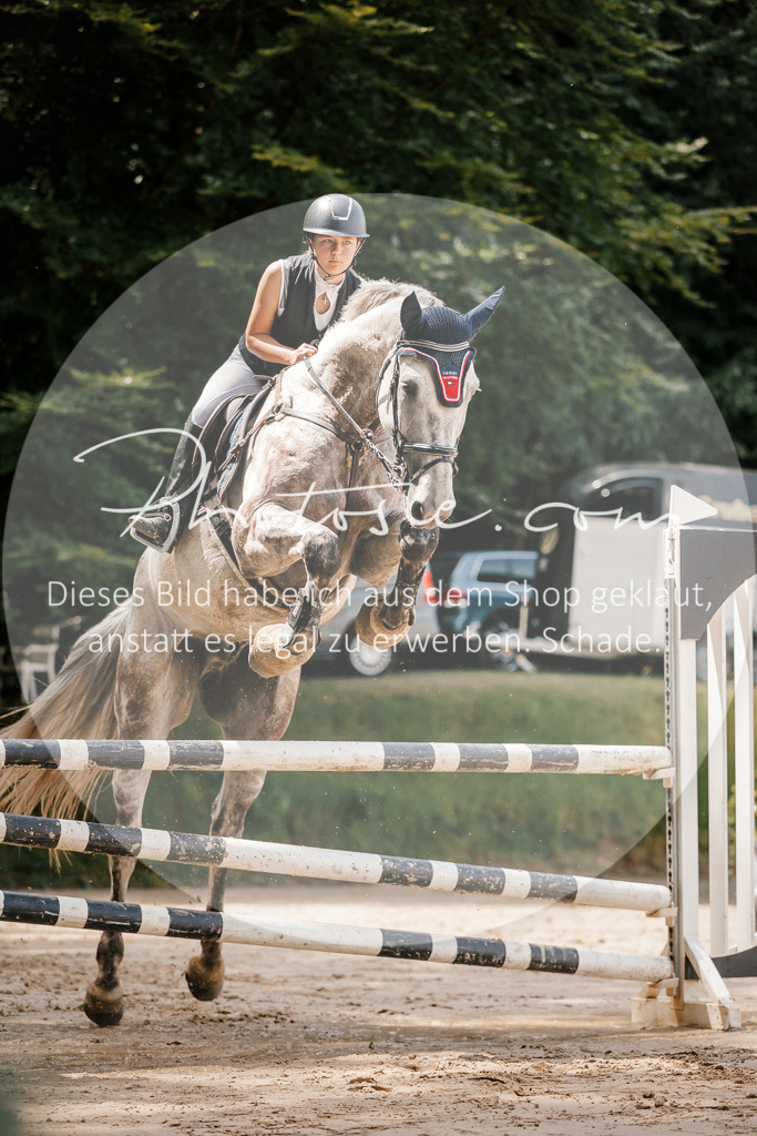 3I6A7867 | Stimmungsvolle Portraits und Reitsportfotografie im Ruhrgebiet und im Münsterland.

Pferdefotografie, Hundefotografie, Tierfotografie, Reportagen, Portraits von Tier und Mensch, Turnierfotografie in Bochum, Recklinghausen, Marl, Haltern am See, Dülmen.. - Realisiert mit Pictrs.com