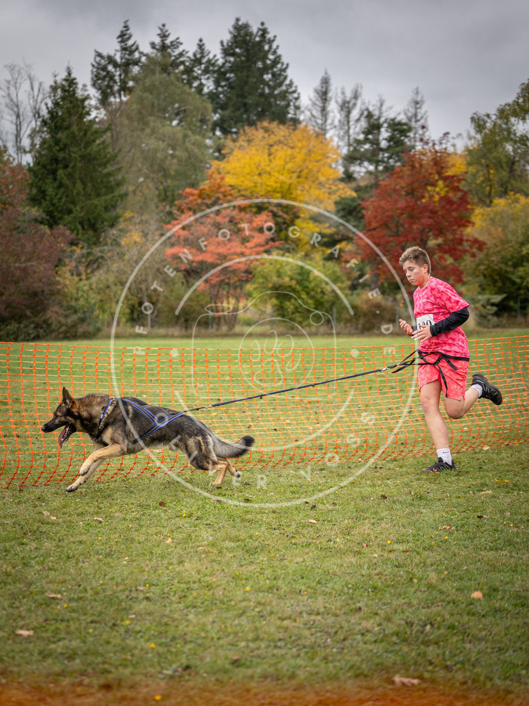 Pfotenfotografie_DV3A3463 | Hundefotografie, Tierfotograf, Pfotenfotografie, Fotoshooting Hund, Hunde Portrait, Hundesport, Hundeportraits, Heideshooting, Hunde, Sportfotograf, Hundefotograf, Turnierhundsport, THS,  - Realisiert mit Pictrs.com