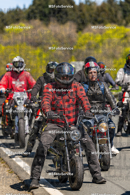 MSFotoServiceXXX207 | MSFotoService - Realisiert mit Pictrs.com