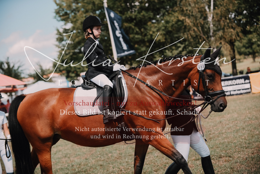 DSC_6100 | Pferde- und Turnierfotografie in Westsachsen. Pferdeportraits, Auftragszeichnungen und intuitive Kunst.