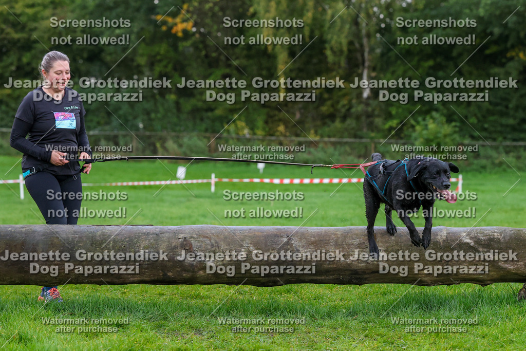 Dog Paparazzi -  SD1026-2009 | Dog Paparazzi Jeanette Grottendiek Fotografie & Videografie - Realisiert mit Pictrs.com