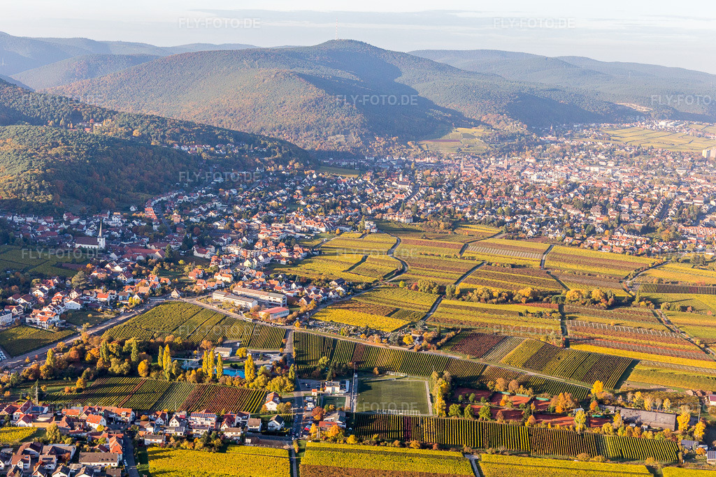 Luftbild: Weinbergen im Ortsteil Hambach an der Weinstraße im Ortsteil Hambach an der Weinstraße in Neustadt im Bundesland Rheinland-Pfalz in Deutschland. Foto: IMG_095608.jpg vom 30.10.2016 durch Werner Riehm/FLY-FOTO.de