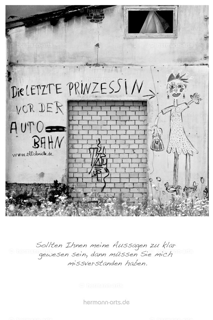 PK_Zitate_10x15_BW-056 | Photo Foto Kunst Art schwarzweiss Bilder Rheine Münster Berlin Blumen 