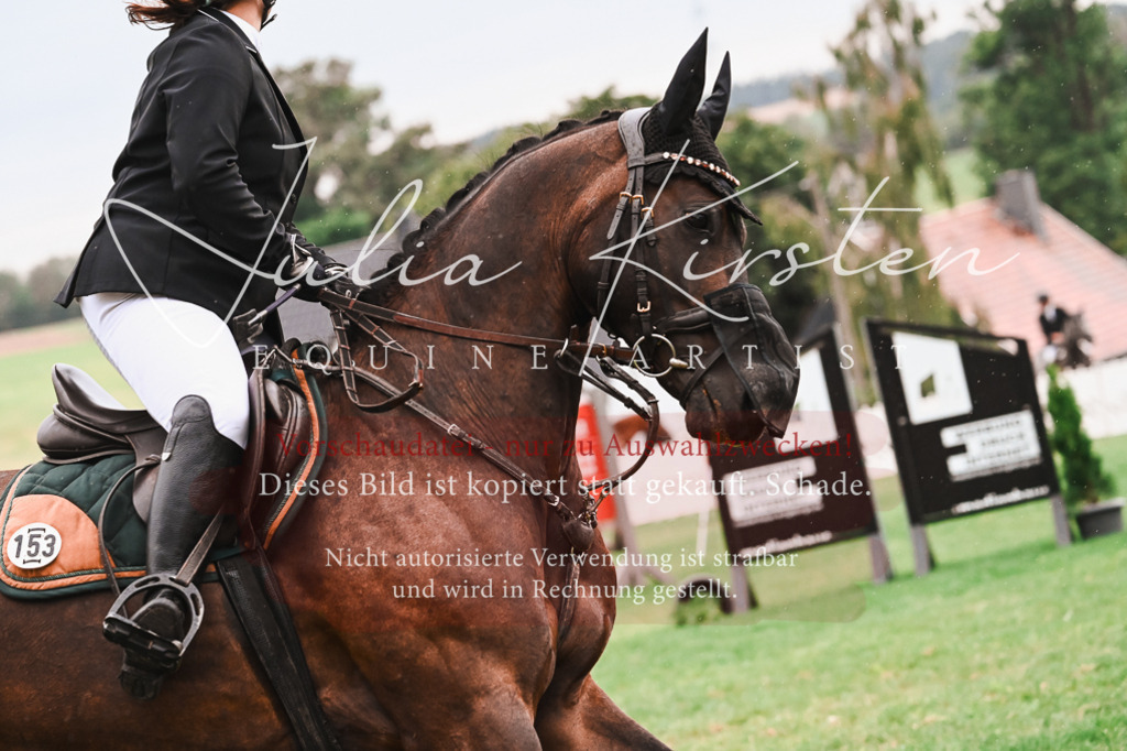 DSC_6455 | Pferde- und Turnierfotografie in Westsachsen. Pferdeportraits, Auftragszeichnungen und intuitive Kunst.
