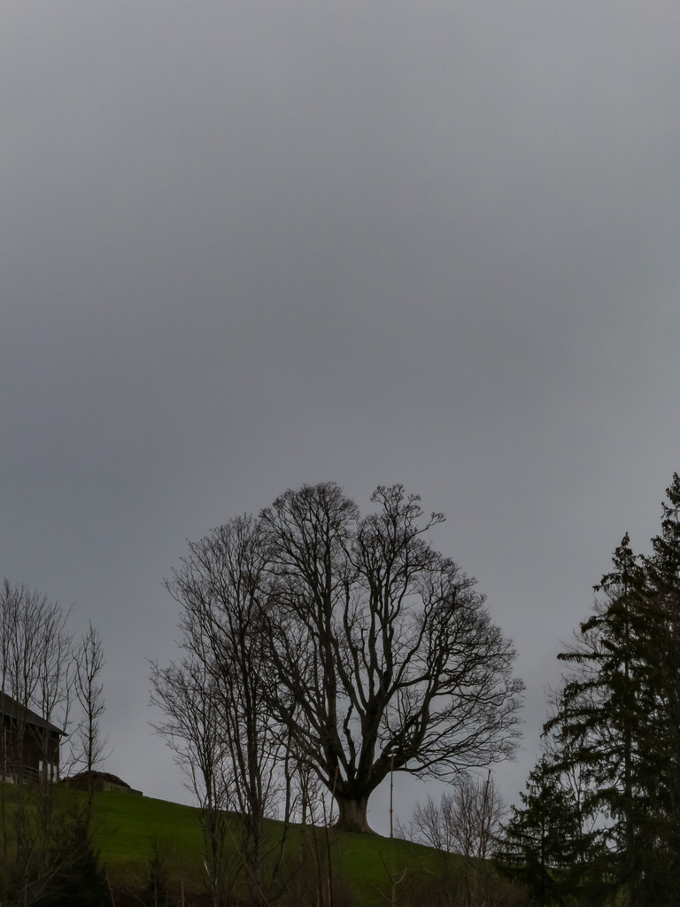 PSX_20230326_225438 | mtkfoto_ - Realisiert mit Pictrs.com