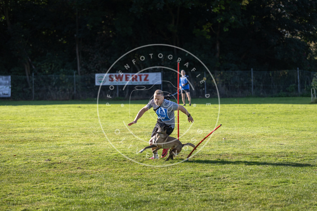 Pfotenfotografie.de_DV3A3447 | Hundefotografie, Tierfotograf, Pfotenfotografie, Fotoshooting Hund, Hunde Portrait, Hundesport, Hundeportraits, Heideshooting, Hunde, Sportfotograf, Hundefotograf, Turnierhundsport, THS, canicross - Realisiert mit Pictrs.com