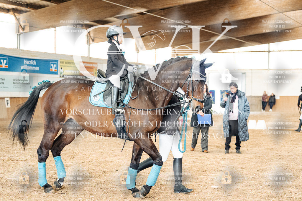 CK905884 | Turnierfotografie Pferdefotografie Trier Rheinland-Pfalz Pferdesport Reitsport Tierfotografie Sportfotografie Pferdevideo Pferdevideografie Equestrianvideography equestrianphotography  - Realized with Pictrs.com