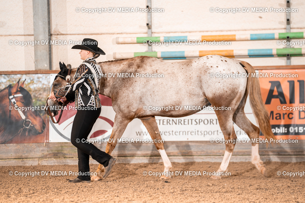 LM Heiligenwald Tag 1-41 | dv-media-shop - Realisiert mit Pictrs.com