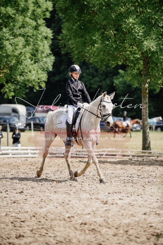 DSC_0518 | Pferde- und Turnierfotografie in Westsachsen. Pferdeportraits, Auftragszeichnungen und intuitive Kunst.