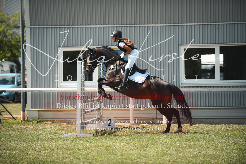 DSC_6614 | Pferde- und Turnierfotografie in Westsachsen. Pferdeportraits, Auftragszeichnungen und intuitive Kunst.